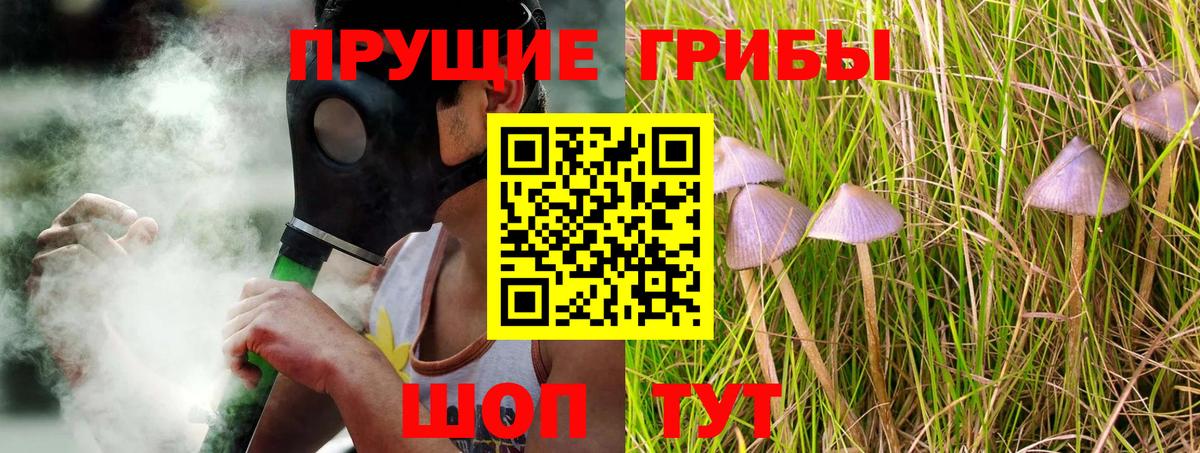 Галлюциногенные грибы Psilocybine cubensis Вязьма